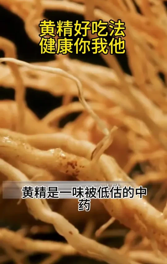 黄精养生秘籍🌿 #黄精养生秘籍🌿