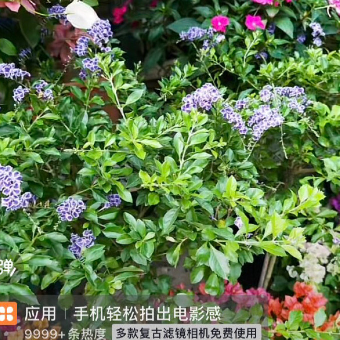 智能设备