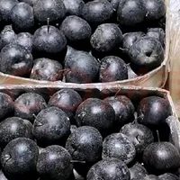 果木岛东北冻梨【顺丰上门丨产地直发】特产梨子冻秋梨不错的选择