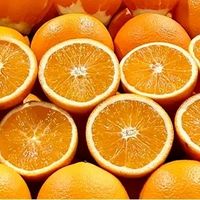 一枚橙子的温柔革命：京觅秭归九月红的爆汁哲学