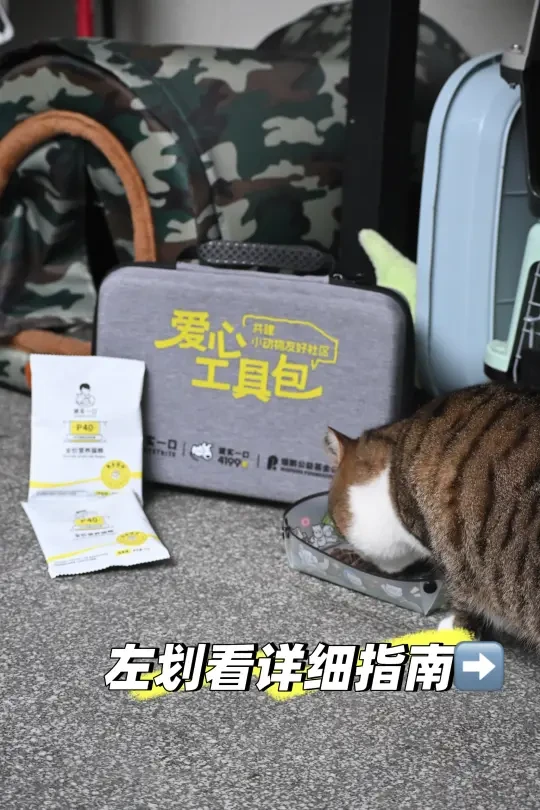 这份科学投喂指南，请查收
