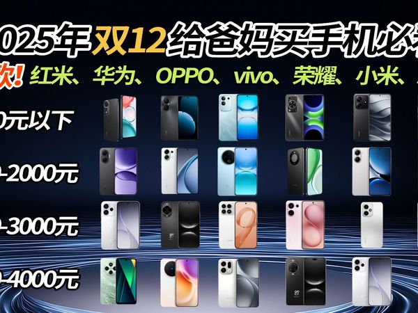 【手机推荐】双十二给爸妈买手机必看！千元到旗舰全价位避坑指南，大电池长续航抗摔防水鸿蒙iOS系统纯净正面对比选购攻略！