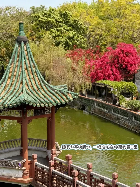 不慌不忙，烟火里寻温柔