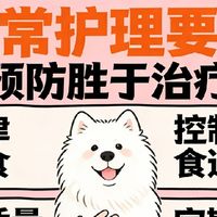 肠胃不好吃什么狗粮？这几款狗粮护胃又促吸收，让毛孩子少遭罪