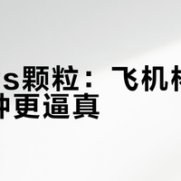 螺旋vs颗粒：飞机杯纹理哪种更逼真？96+用户观点大交锋