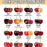 桑提娜 vs 皇家黎明？我们汇总了68位车厘子老饕的真实体验