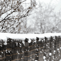 北京今冬首场明显降雪引热议，12月12日全市迎中雪？用户观点全景呈现