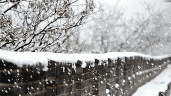北京今冬首场明显降雪引热议，12月12日全市迎中雪？用户观点全景呈现