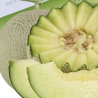 京鲜生玫珑网纹瓜 净重4-5斤 2粒云南网纹瓜新鲜水果源头直发包邮