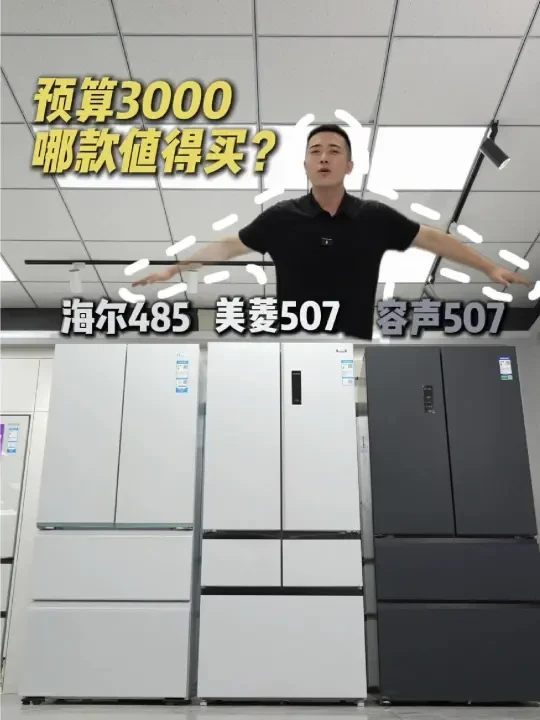 预算3000多，值得入手的零嵌入冰箱