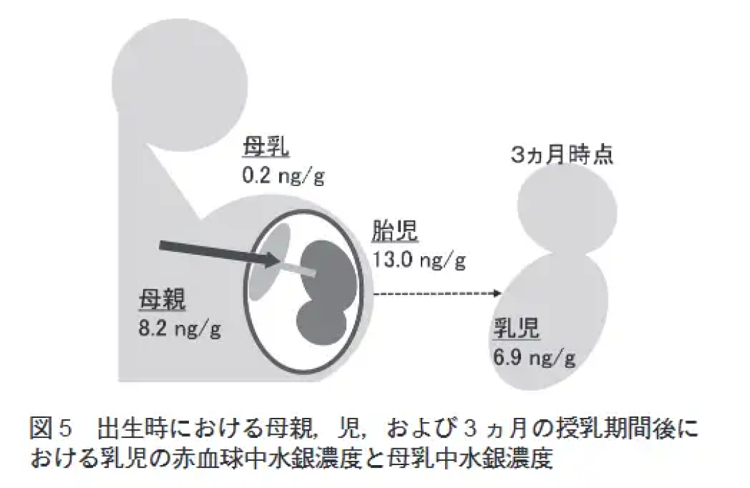 水银体温计即将成为历史，最后一批，需要囤两支吗？