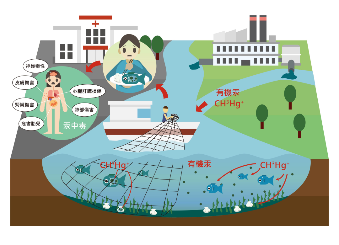 水银体温计即将成为历史，最后一批，需要囤两支吗？