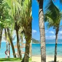 广州直飞三亚4天3晚自由行攻略