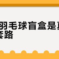 69元羽毛球盲盒是真香还是套路？876+用户观点大PK