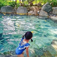 小众亲子游 vs 热门景区？上百位家长的真实体验告诉你答案