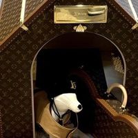 一个LV狗窝可以买一套房子？宠物消费的价值选择题