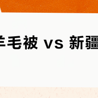澳洲羊毛被 vs 新疆棉花被？我们汇总了86位用户真实体验，结论在这