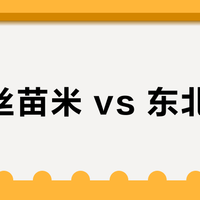 岭南丝苗米 vs 东北大米？我们集合了78位用户真实体验，煲仔饭该选谁
