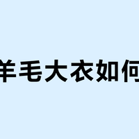 真假羊毛大衣如何辨别？547+用户真实观点全景呈现