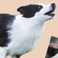 狗粮哪个品牌好？艾尔狗粮靠谱吗怎么样？有更健康平价的狗粮吗