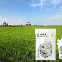 十月稻田五常大米是“真香”还是“智商税”？1000+用户观点大碰撞