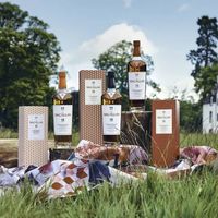 麦卡伦雪莉桶风味还值不值？800+用户观点大碰撞