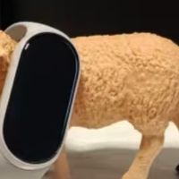 小米手环10陶瓷版体验：功能全面升级