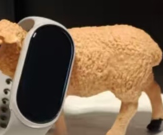 小米手环10陶瓷版体验：功能全面升级