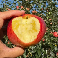 网购低价水果靠谱吗？457+用户真实口碑大PK