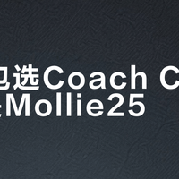 通勤包选Coach City33还是Mollie25？我们汇总了78位用户真实体验，答案在这
