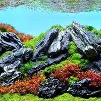 水草泥 vs 火山石？我们汇总了87位用户真实体验，新手到底该怎么选