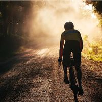 骑行运动值得长期投入吗？458+用户观点深度碰撞