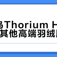 始祖鸟Thorium Hoody vs 其他高端羽绒服？我们汇总了127位用户真实体验，结论在这