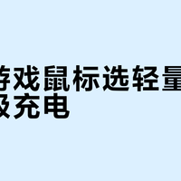 百元游戏鼠标选轻量化还是磁吸充电？58位用户真实体验告诉你答案