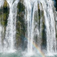 高强丙纶线神农架价格走势与优惠信息