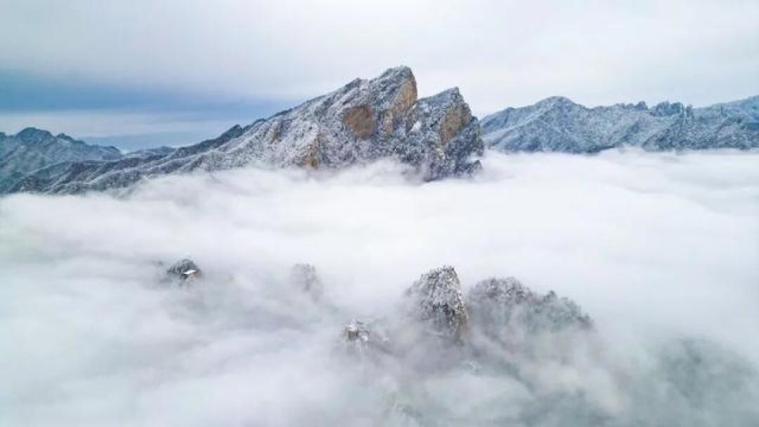 雪漫仙山古都,天鹅翩跹而至,河南冬日限定美景邀你查收