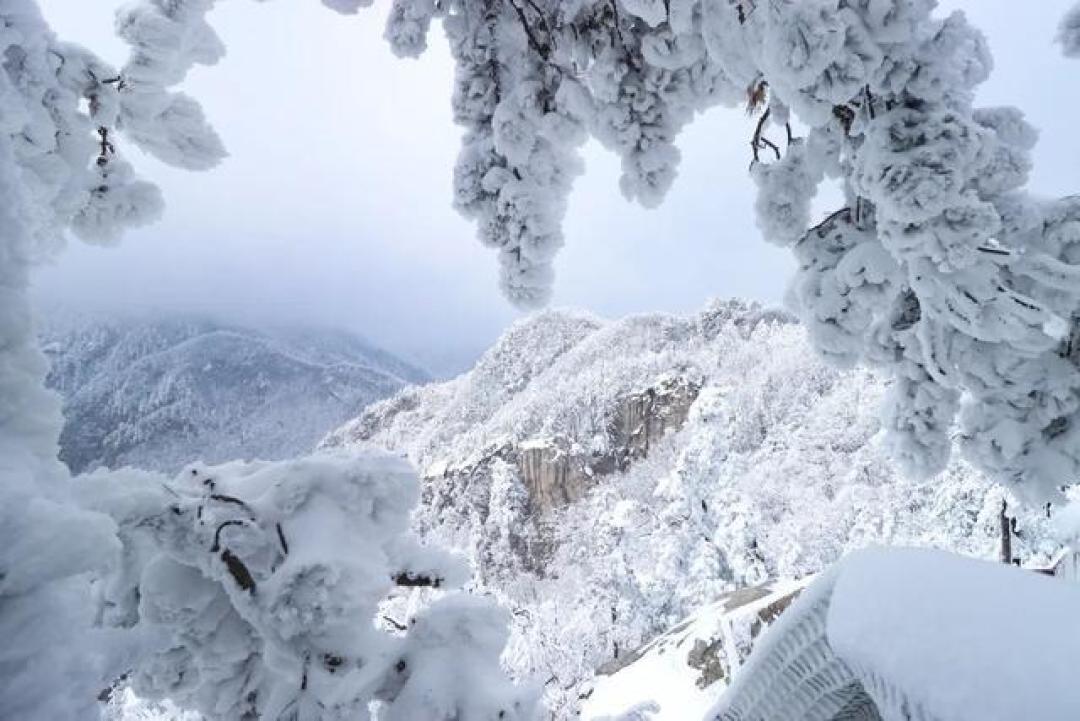 雪漫仙山古都,天鹅翩跹而至,河南冬日限定美景邀你查收