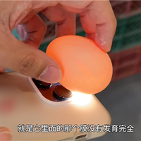 凭煮蛋涨粉350万 “蛋神”教大家用手机补光灯挑鸡蛋