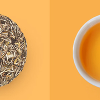 追本味之选：中茶蝴蝶耀世牡丹白牡丹茶饼