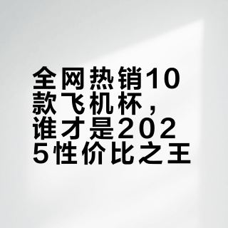 全网热销10款飞机杯,谁才是2025性价比之王?基于157条评价的实测推荐