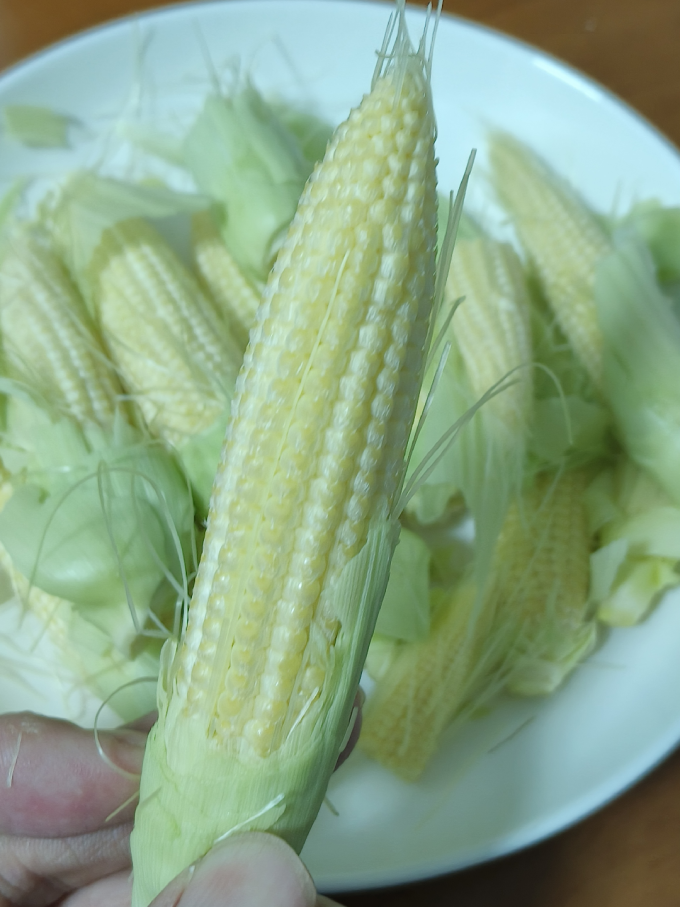 玉米谷物/杂粮/粥米