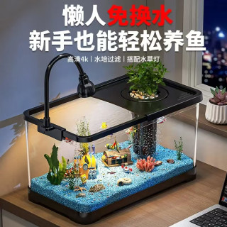 一平方米“微海洋”改造：懒人鱼缸让家秒变治愈角落