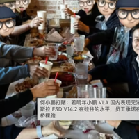 何小鹏打赌：VLA追不上FSD，员工要在金门大桥裸跑？587+用户观点大碰撞