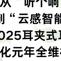 从“听个响”到“云感智能”，2025耳夹式耳机进化元年全维横评