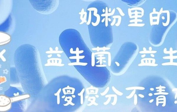 奶粉里的益生菌、益生元傻傻分不清？一篇讲透