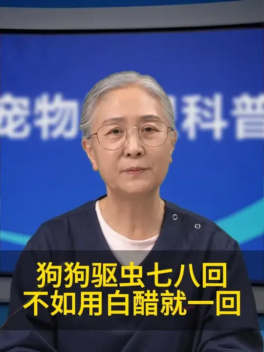 狗狗驱虫七八回不如用白醋撒一回 #宠物 #新手养狗 #养狗经验分享 #科学养宠攻略 #狗狗驱虫