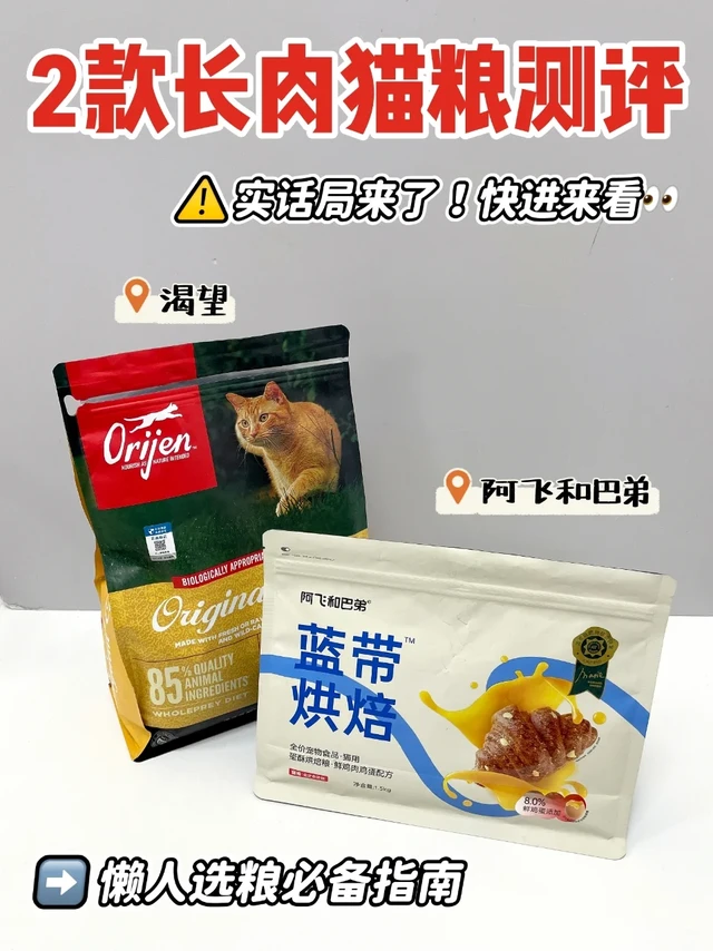 长肉猫粮怎么选？我家猫替你们试了🐱