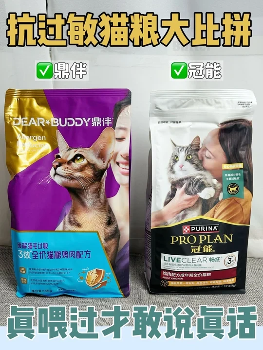 冠能还是鼎伴？超全选粮攻略在此🙋‍♀️