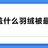 冬天盖什么羽绒被最暖不压身？汇集107条真实口碑，这8款实测舒适又安心
