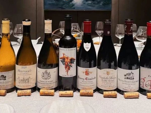 以海堤“酱油茶”为引，聊聊新浪潮下的精酿、咖啡、茶饮和葡萄酒。